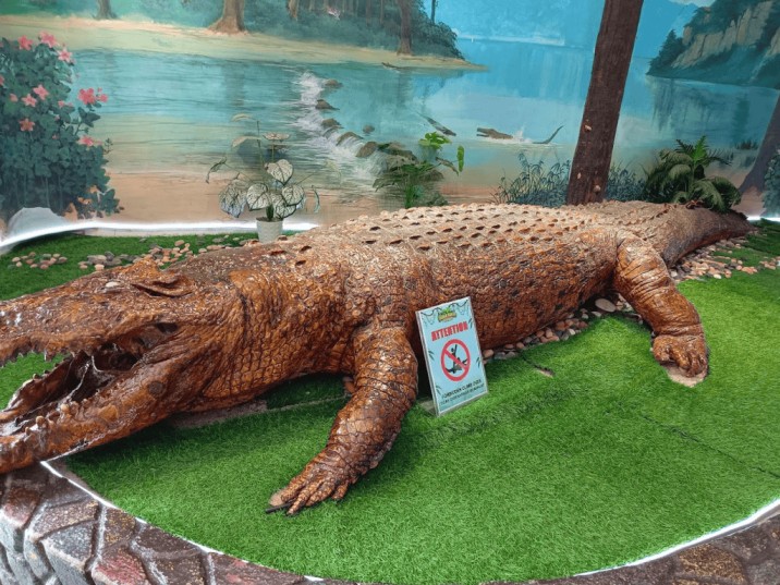 Melaka Crocodile & Recreational Park